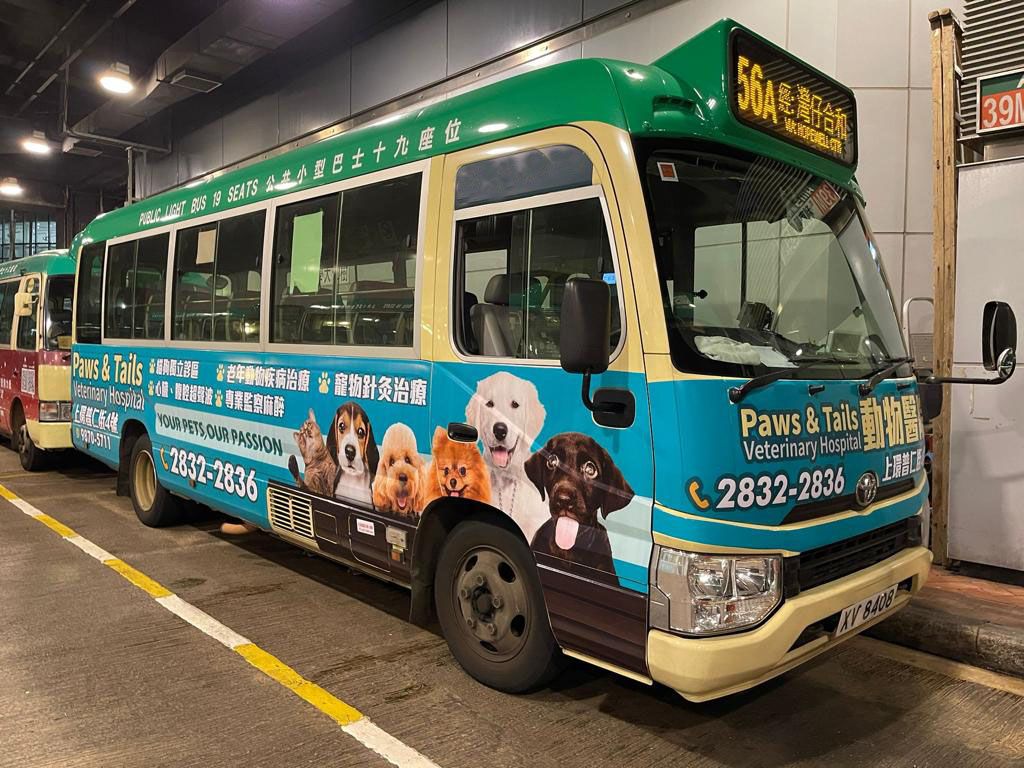 WhatsApp Image 2022-07-05 at 12.40.36 PM